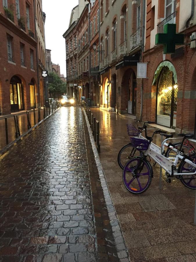 Appartement De Prestige - Rue Des Arts トゥールーズ エクステリア 写真